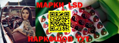 mdpv Новозыбков