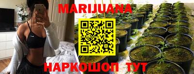 mdpv Новозыбков