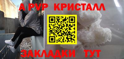 стаф Новодвинск