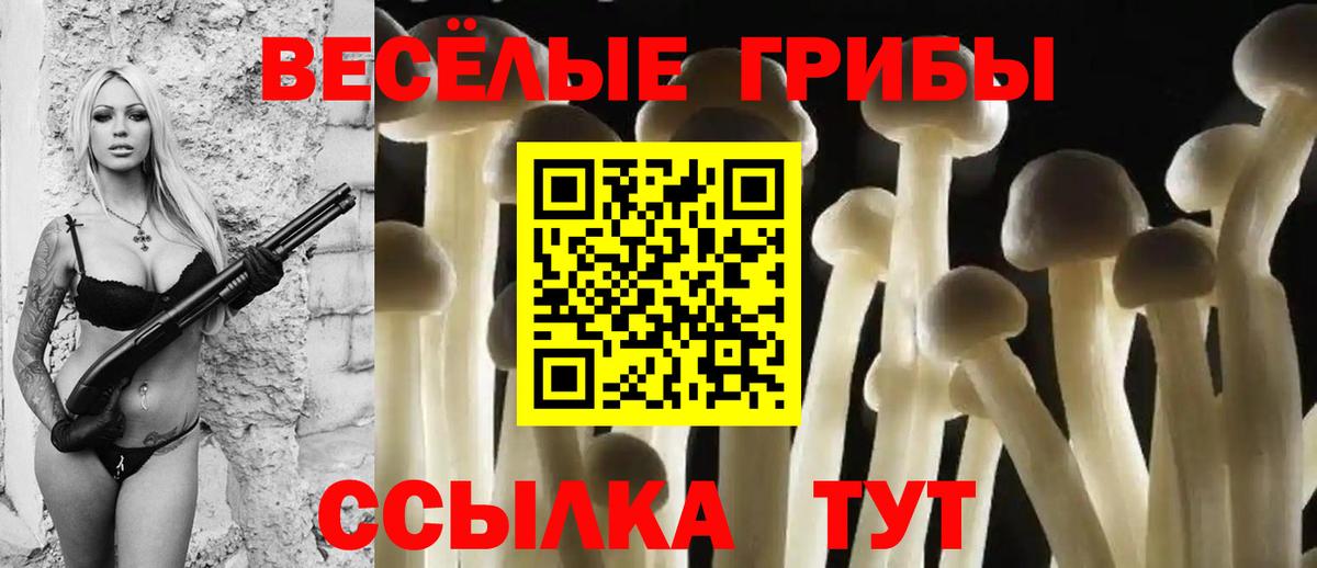 Галлюциногенные грибы ЛСД  Вход с VPN  Туймазы 