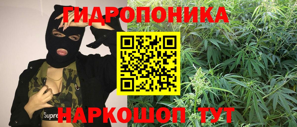 Каннабис сатива  Канабис планчик  Туймазы  Вход с VPN 